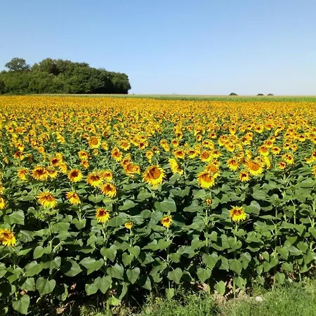 بيت للعطل La Petite Bellarderie Champniers (Charente)